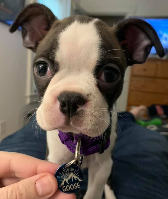 How To Fight In Nhl 22 | Hockey Video Games How To Fight In Nhl 22 | Gooz1