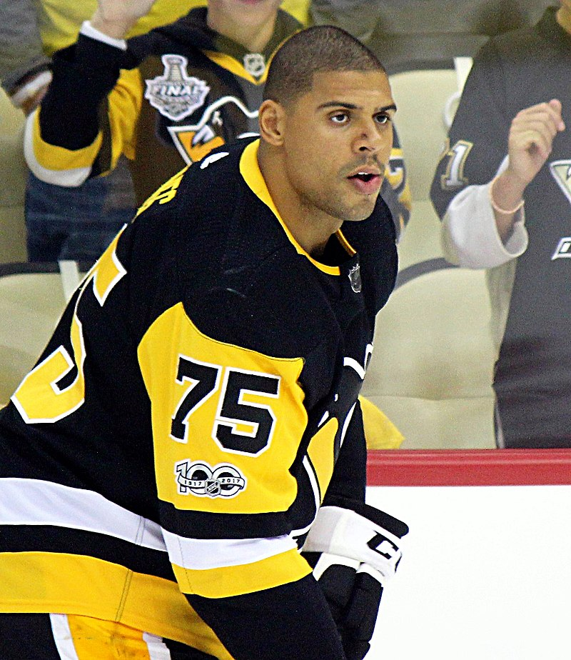 The Last Hockey Enforcer, Ryan Reaves.